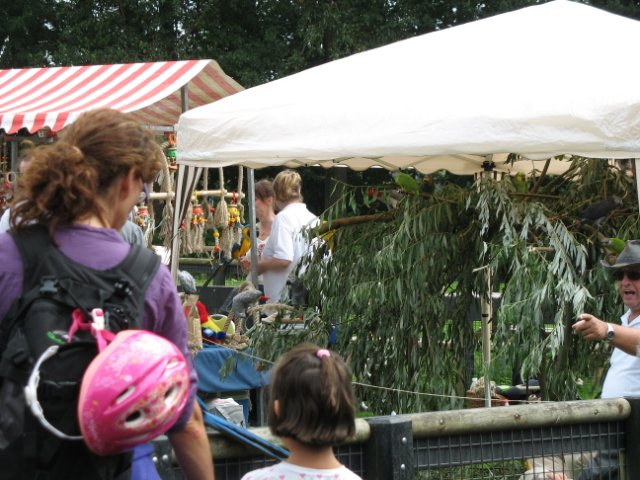 2011-08-14 stuif-in Kralingsebos